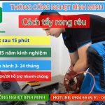 Cách tẩy rong rêu