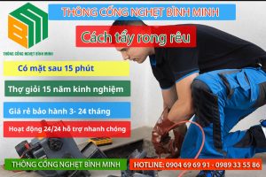 Cách tẩy rong rêu cực kỳ đơn giản
