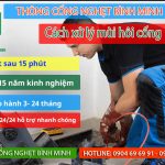 Cách xử lý mùi hôi cống