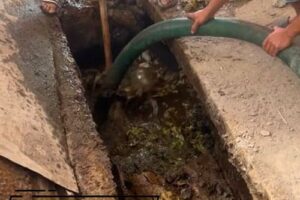 Thông Cống Nghẹt Minh Phụng TPHCM